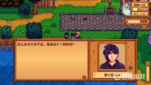 星露谷物语塞巴斯蒂安喜欢什么东西?1