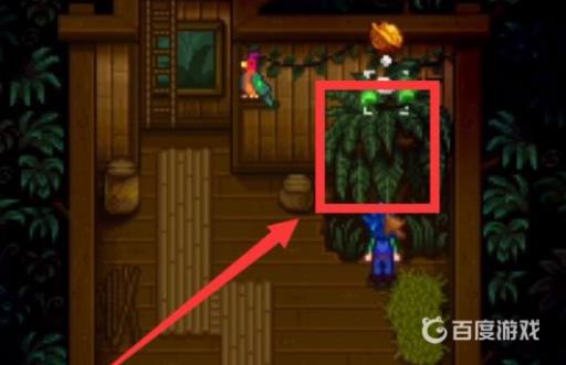 星露谷物语金色核桃全部位置?4