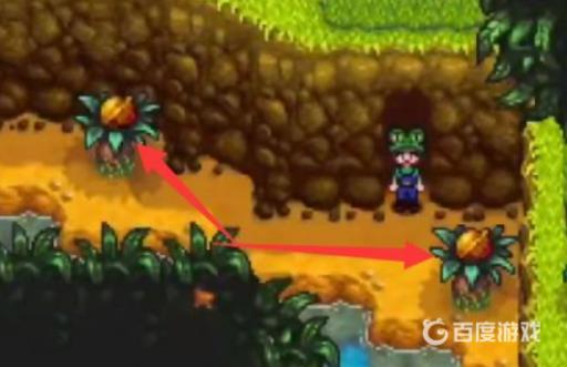 星露谷物语金色核桃全部位置?6