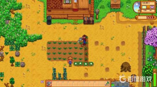 星露谷物语春天种什么值钱?1