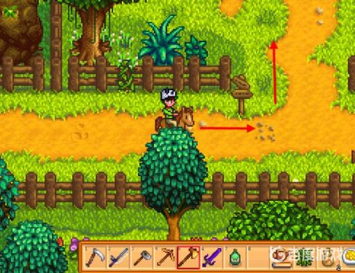 星露谷物语沙鱼在哪里钓?1