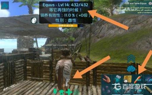 方舟equus是什么龙?3