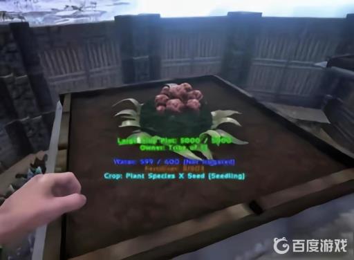 方舟稀有花朵有什么用?2