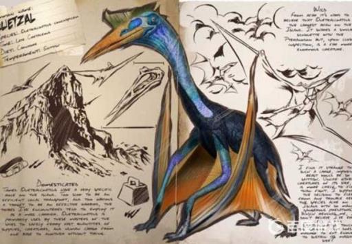 如何驯服风神翼龙?1