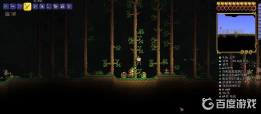 泰拉瑞亚海盗船为什么不掉东西?4