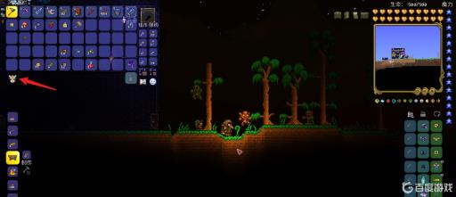 泰拉瑞亚怎么让白天快速变成晚上?3