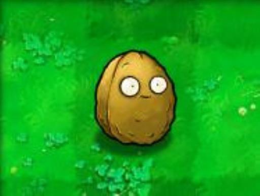 植物大战僵尸植物的用法是什么?4