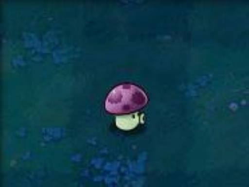 植物大战僵尸植物的用法是什么?8