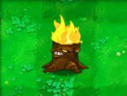 植物大战僵尸植物的用法是什么?22