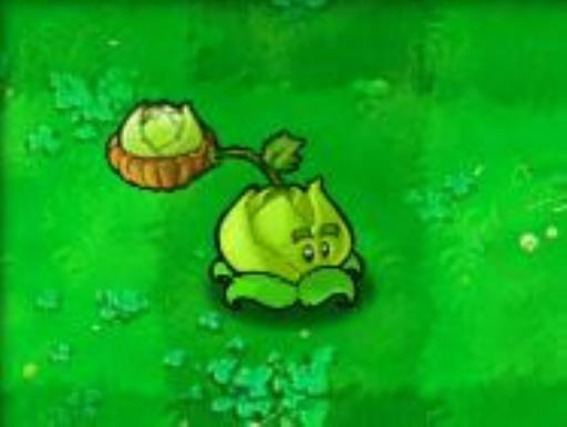 植物大战僵尸植物的用法是什么?32