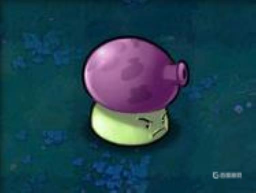 植物大战僵尸1植物顺序表是什么?11