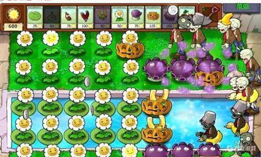 植物大战僵尸95怎么刷金币?3