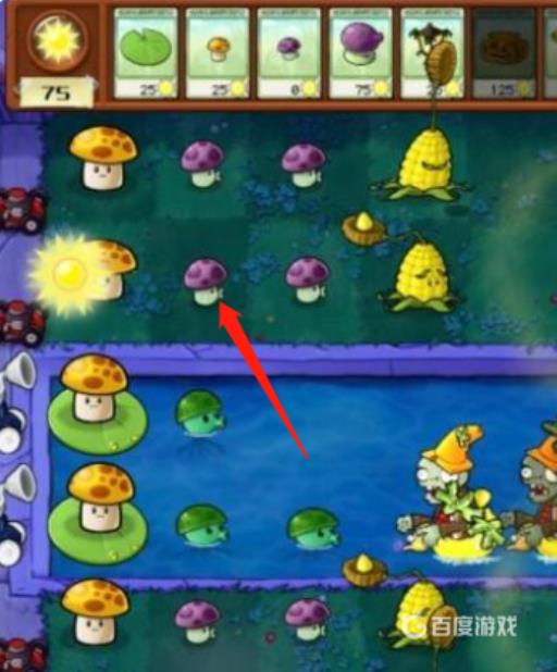 植物大战僵尸雾天用什么植物?3