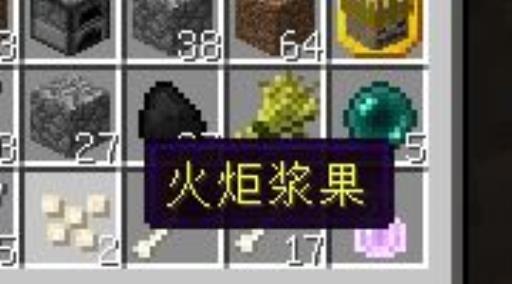 我的世界暮色森林魔法地图详解?4