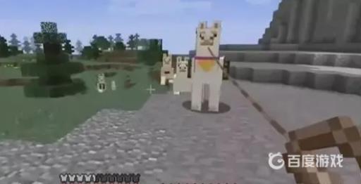 我的世界羊驼身上装什么好?2