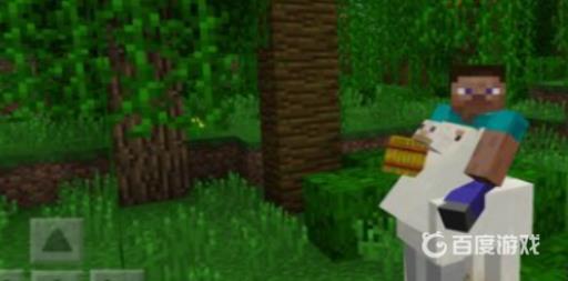 我的世界羊驼身上装什么好?3