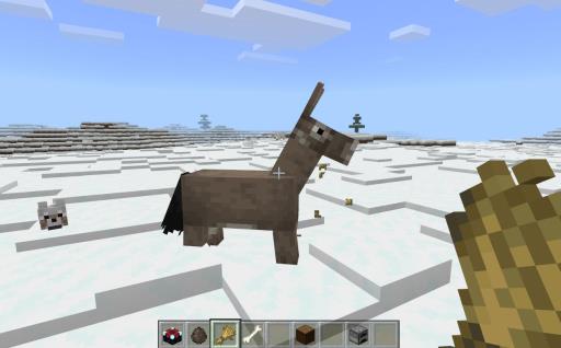 我的世界驴怎么驯服?2