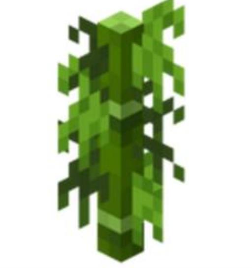 我的世界熊猫怎么驯服?2