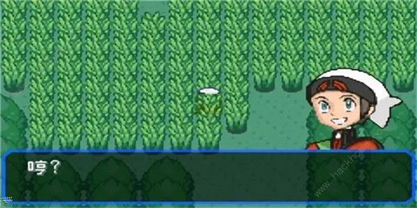 口袋妖怪究极绿宝石5.4金手指大全_口袋妖怪究极绿宝石5.4金手指遇宠码