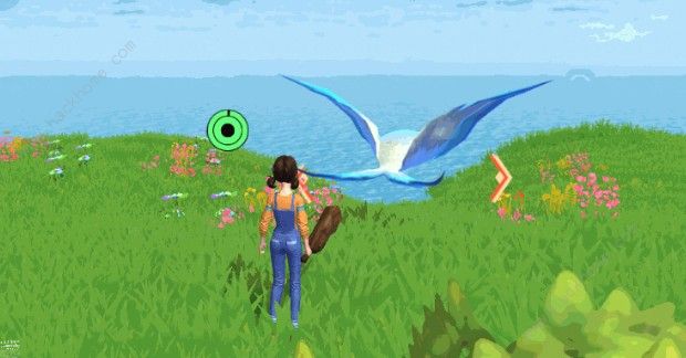 创造与魔法天空果实位置介绍1