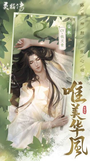 灵猫传攻略大全2