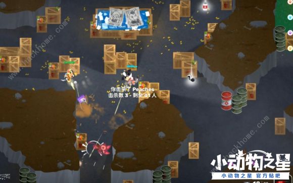 小动物之星新手攻略2