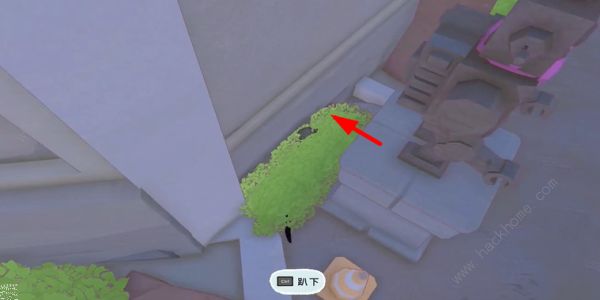 小猫咪大城市仙人掌帽在哪3