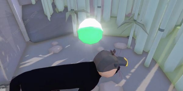 小猫咪大城市仙人掌帽在哪4