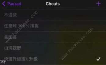 delta模拟器怎么使用金手指1