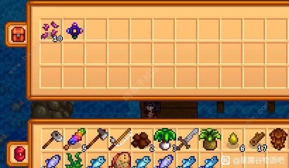 星露谷物语1.6特殊物品有哪些2