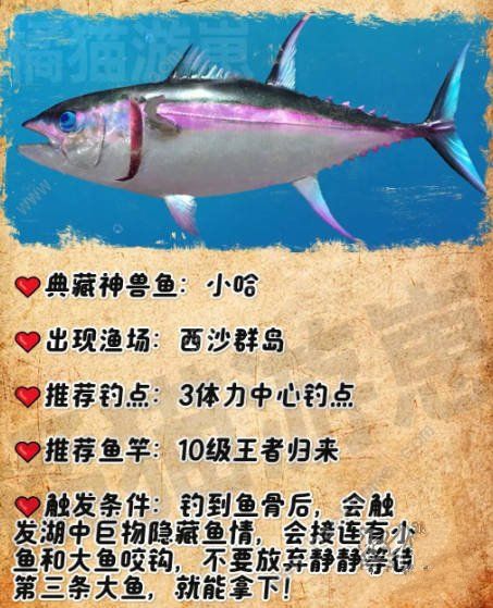 欢乐钓鱼大师典藏神兽鱼有哪些3