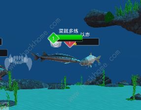 狂野钓鱼2钓王荣耀怎么获取传奇鱼饵9