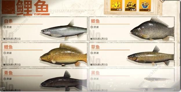 欢乐钓鱼大师四大误区3