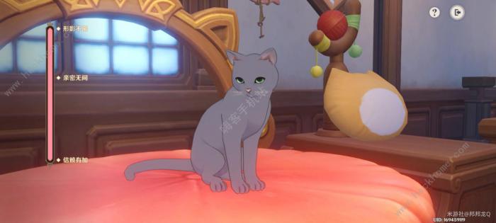 原神茸茸城堡大喵险第三天怎么过2