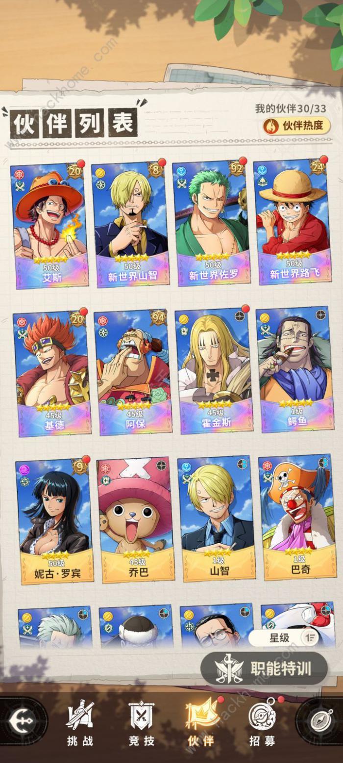 航海王梦想指针零氪伙伴选择推荐1