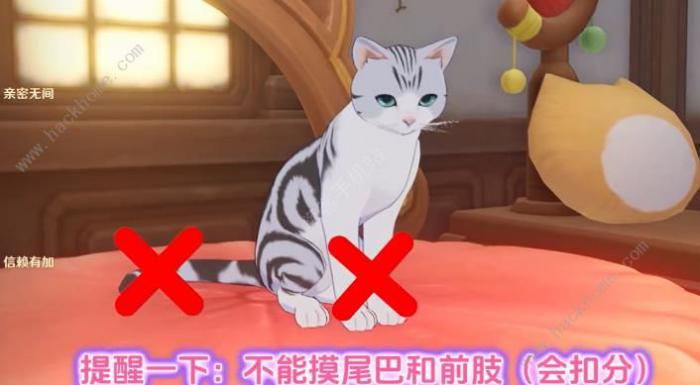 原神茸茸城堡大喵险第二天攻略6