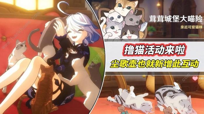 原神茸茸城堡大喵险奖励多少原石1