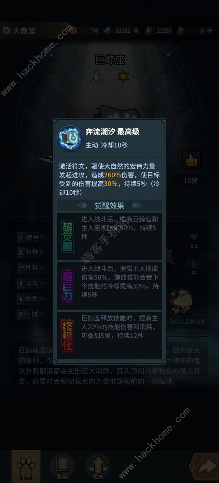 提灯与地下城新区选什么宠物好3