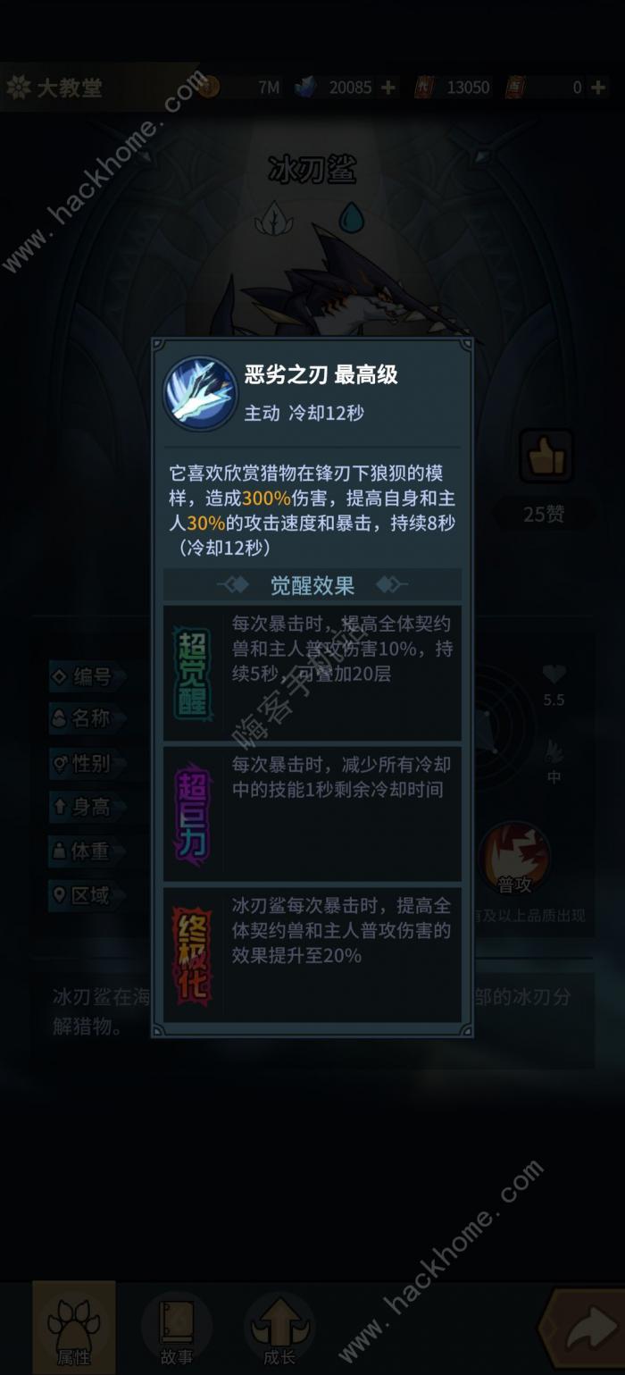 提灯与地下城新区选什么宠物好4