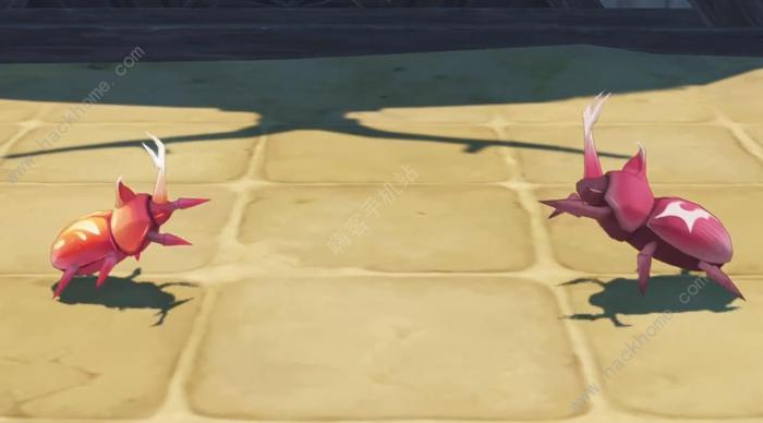 原神4.3荒泷斗虫修行第三天攻略1