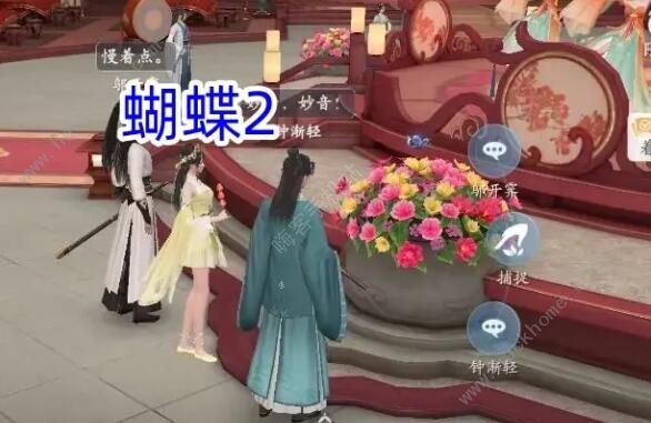 浮生忆玲珑烟雨楼的蝴蝶在哪2