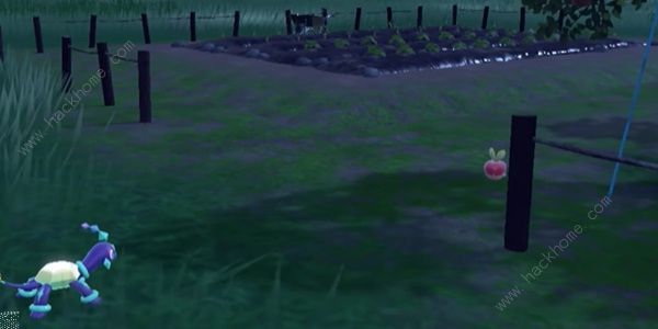 宝可梦朱紫DLC蓝之圆盘裹蜜虫在哪4