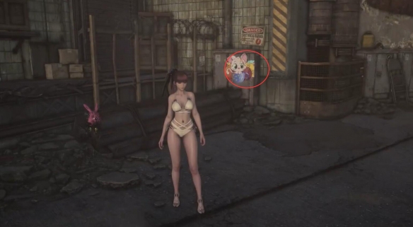 剑星猫咪摄影展全位置攻略14