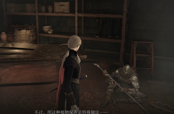 艾尔登法环黑夜君临支线全攻略46