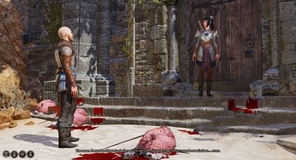 博德之门3攻略大全6