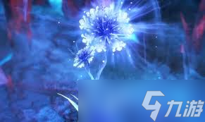 斗罗大陆猎魂世界八角玄冰草在哪里在哪_新斗罗大陆八角玄冰草