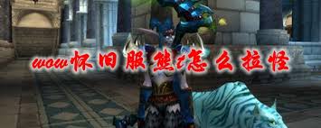魔兽世界怀旧服熊T怎么拉怪_怀旧服熊t拉怪技巧