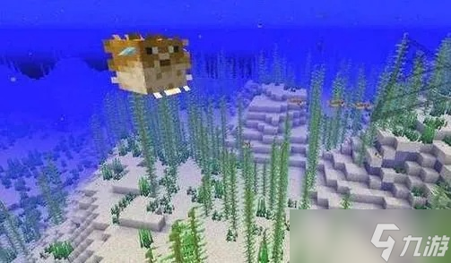 怎么在我的世界中获取河豚_我的世界获得河豚指令