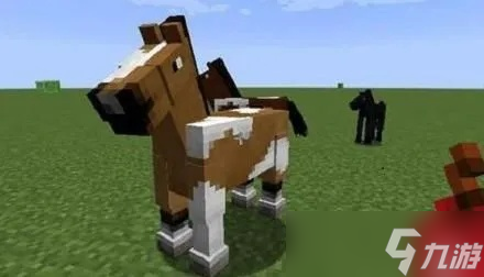 我的世界怎么养马1