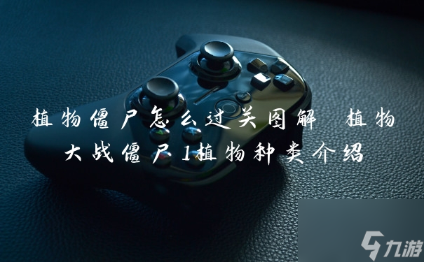 植物僵尸怎么过关图解1